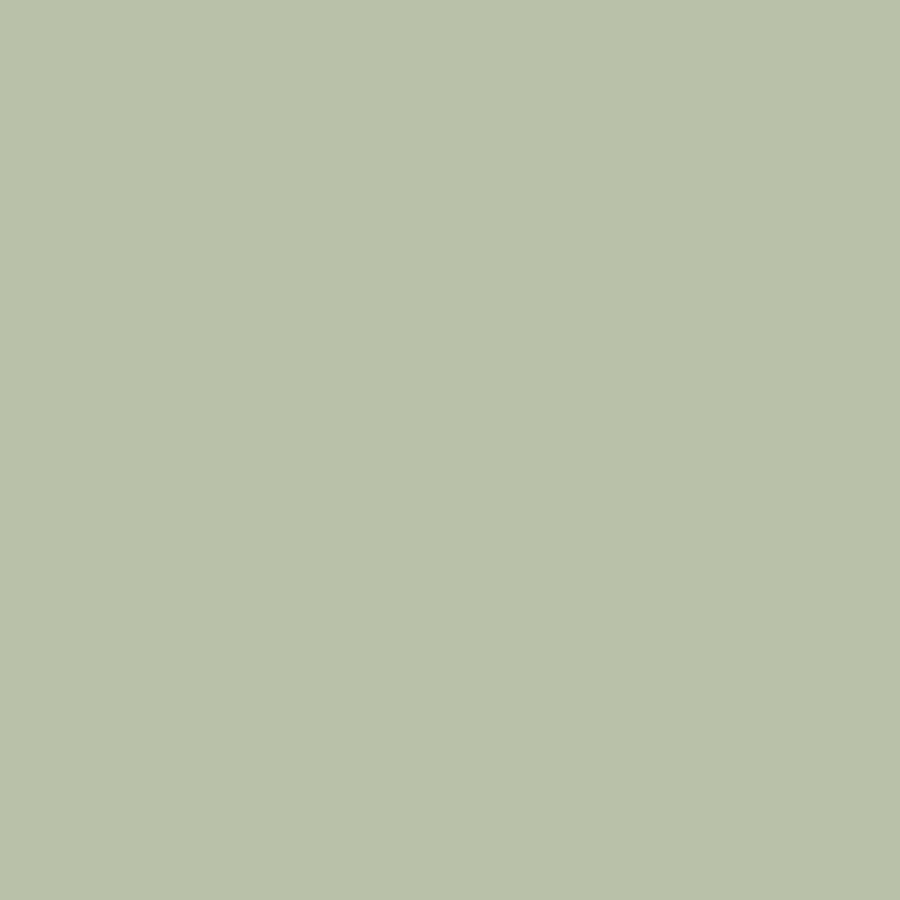Mocha — Exterior Portfolio vinyl siding color