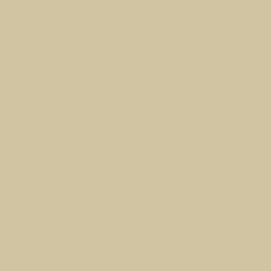 Saddle — Exterior Portfolio vinyl siding color
