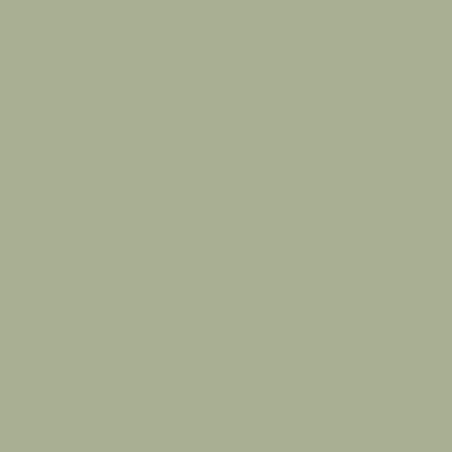 Rye — Exterior Portfolio vinyl siding color
