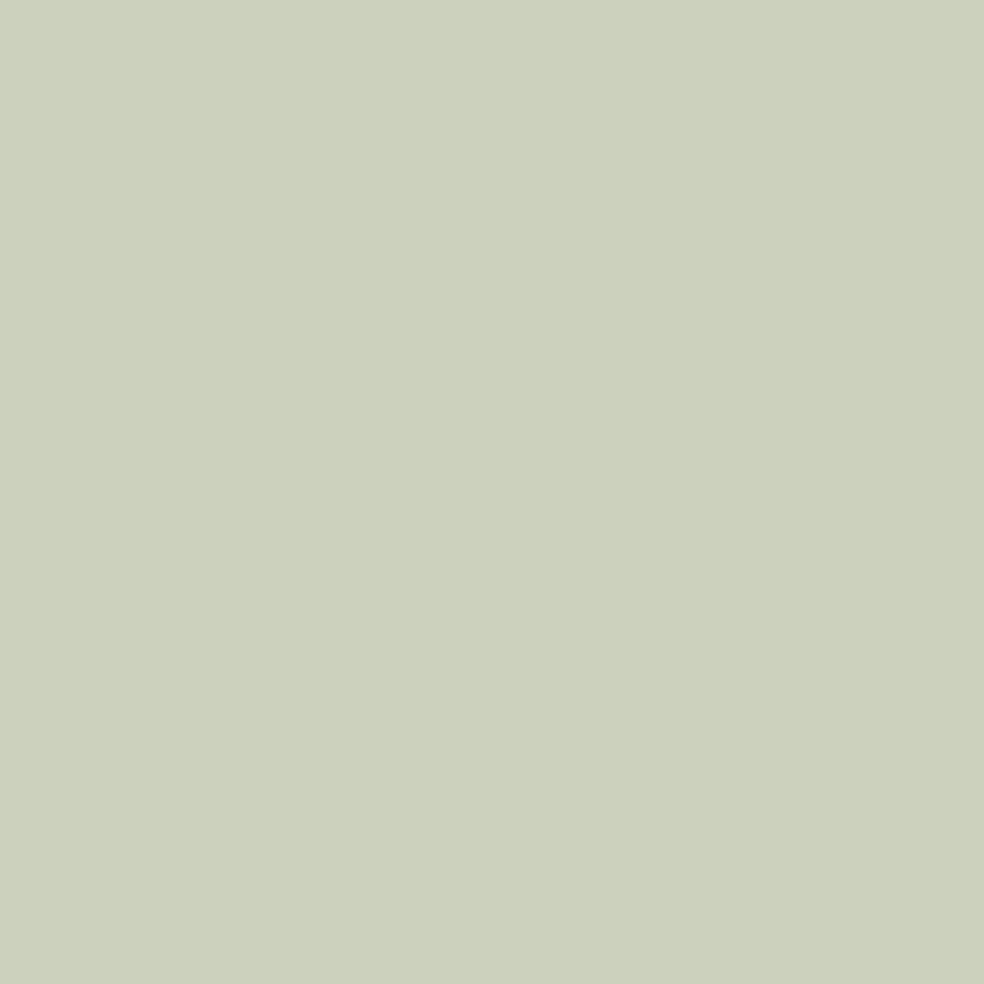 Bone — Exterior Portfolio vinyl siding color